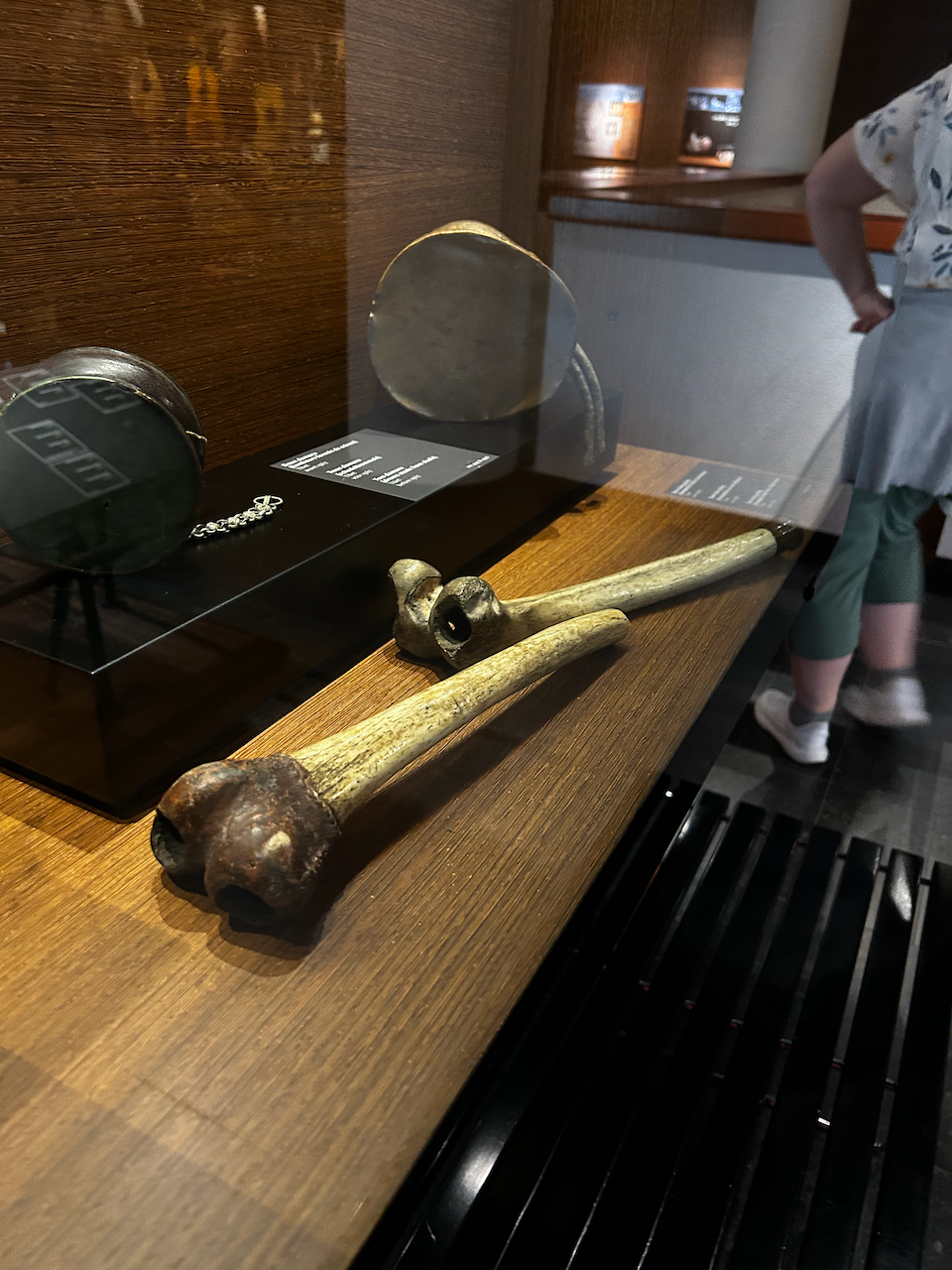 Photograph of (a) brass instrument(s) from the Musical Instruments Museum in Brussels, Belgium