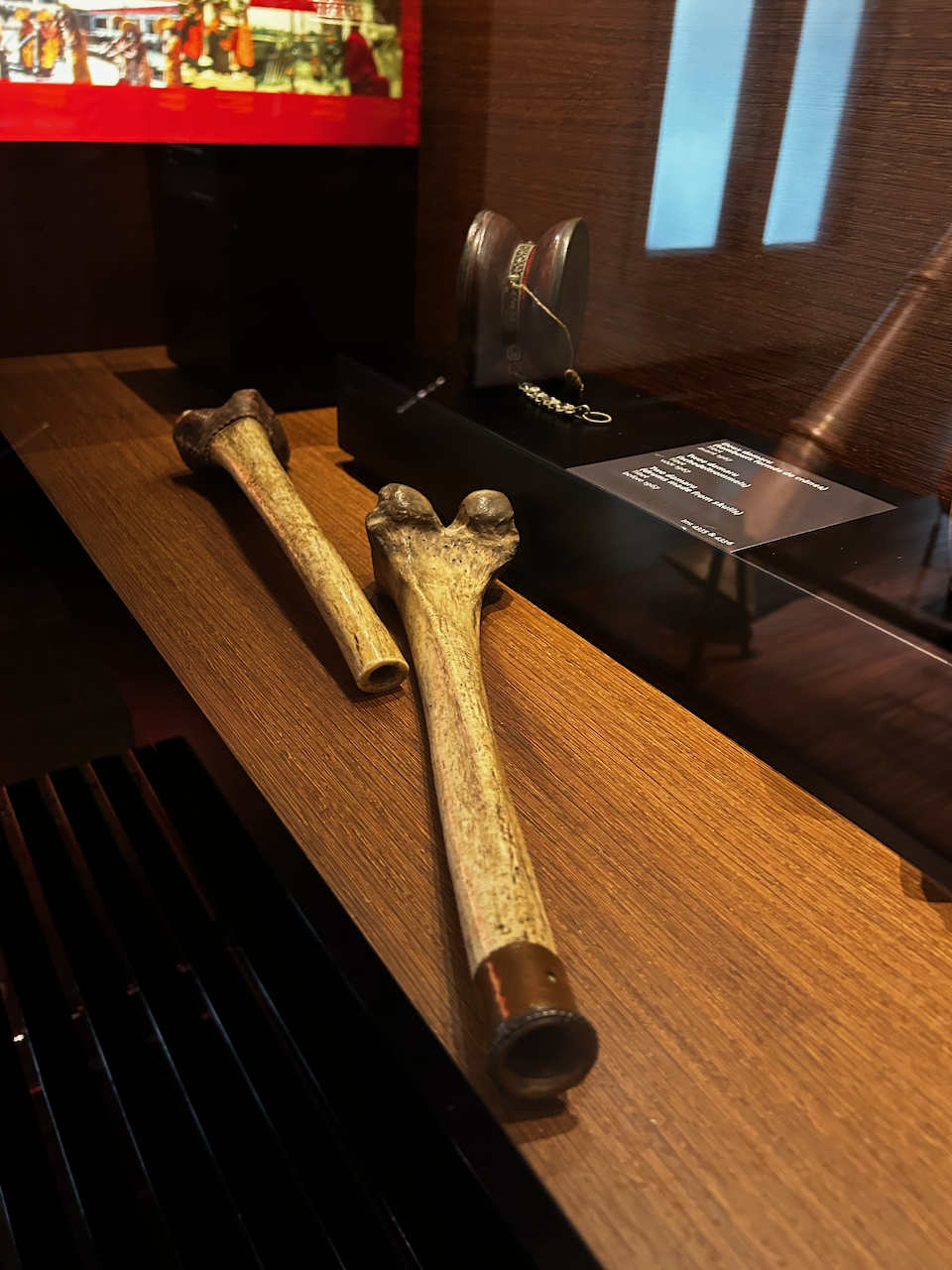 Photograph of (a) brass instrument(s) from the Musical Instruments Museum in Brussels, Belgium