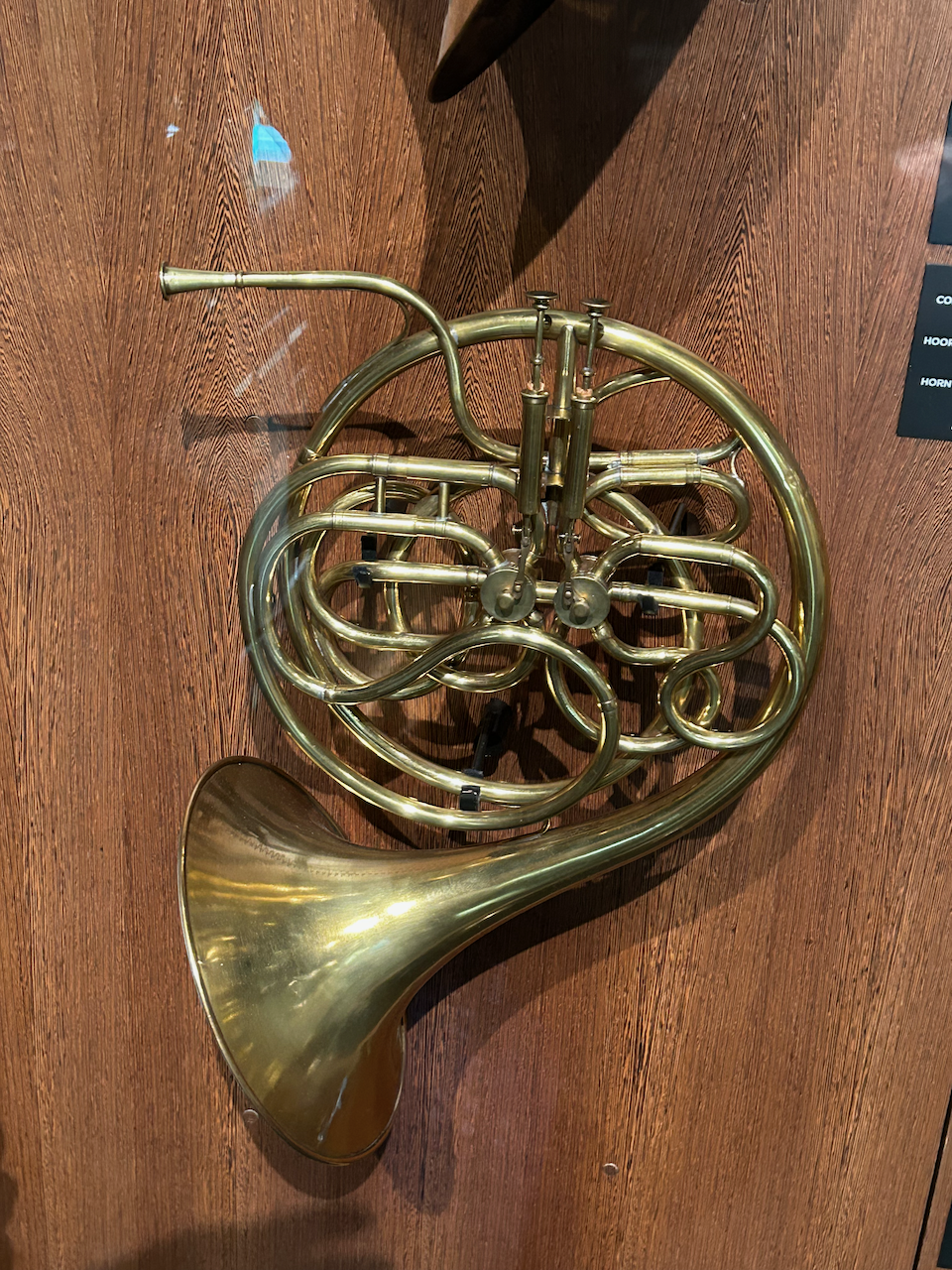 Photograph of (a) brass instrument(s) from the Musical Instruments Museum in Brussels, Belgium