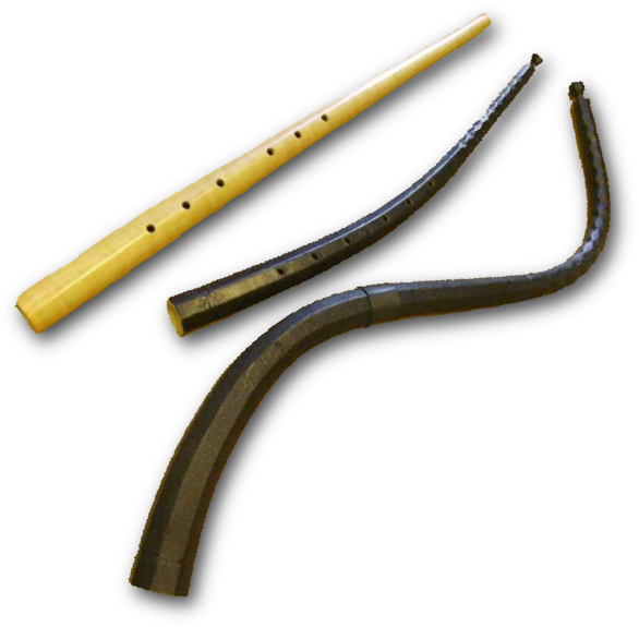 Three different cornetts: mute cornett, curved cornett and tenor cornett